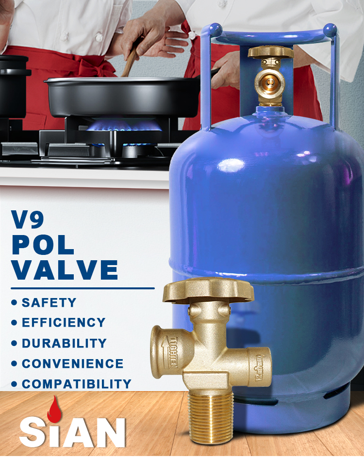 SIAN V9S4 LPG Zylinder -Polventile (1)
