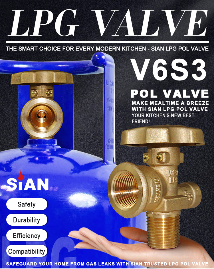 SIAN V6S3 LPG Zylinderpolventil (1)