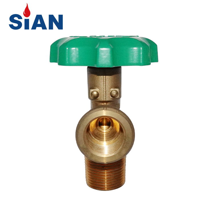 SIAN V9S1 Propan -Gastank -LPG -Zylinderpolventile für Vietnam
