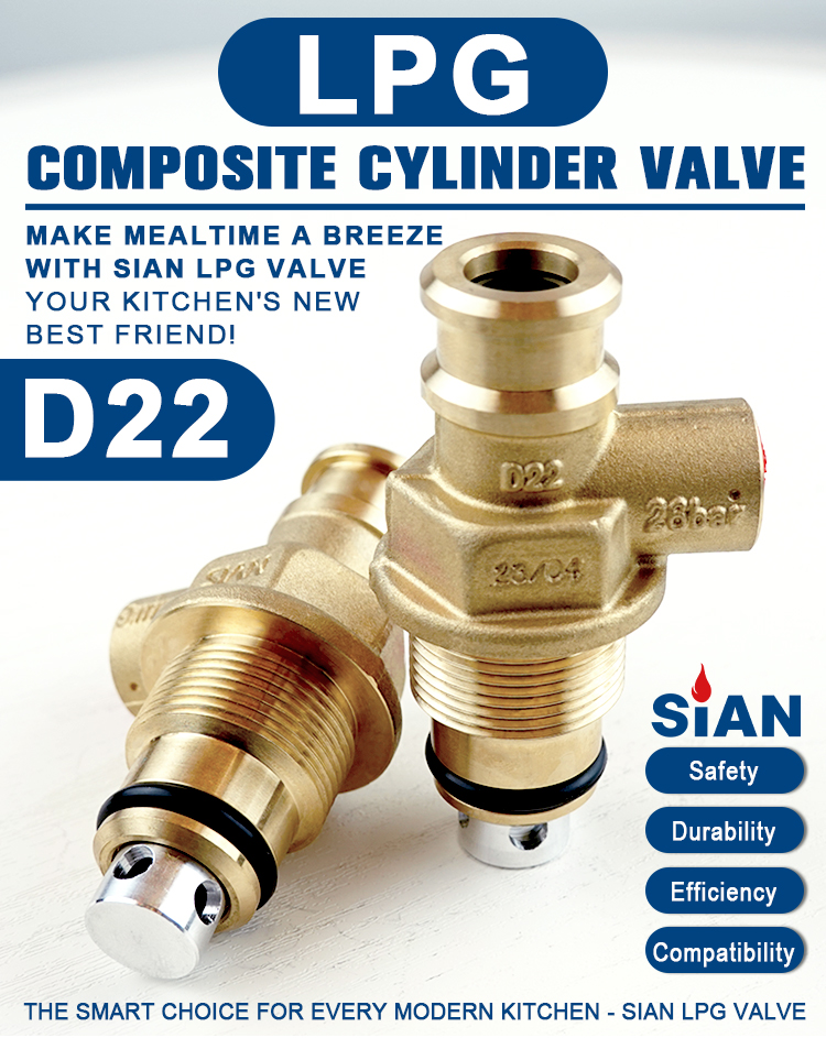 Sian D22 LPG CPMPosite -Zylinderventile (6)