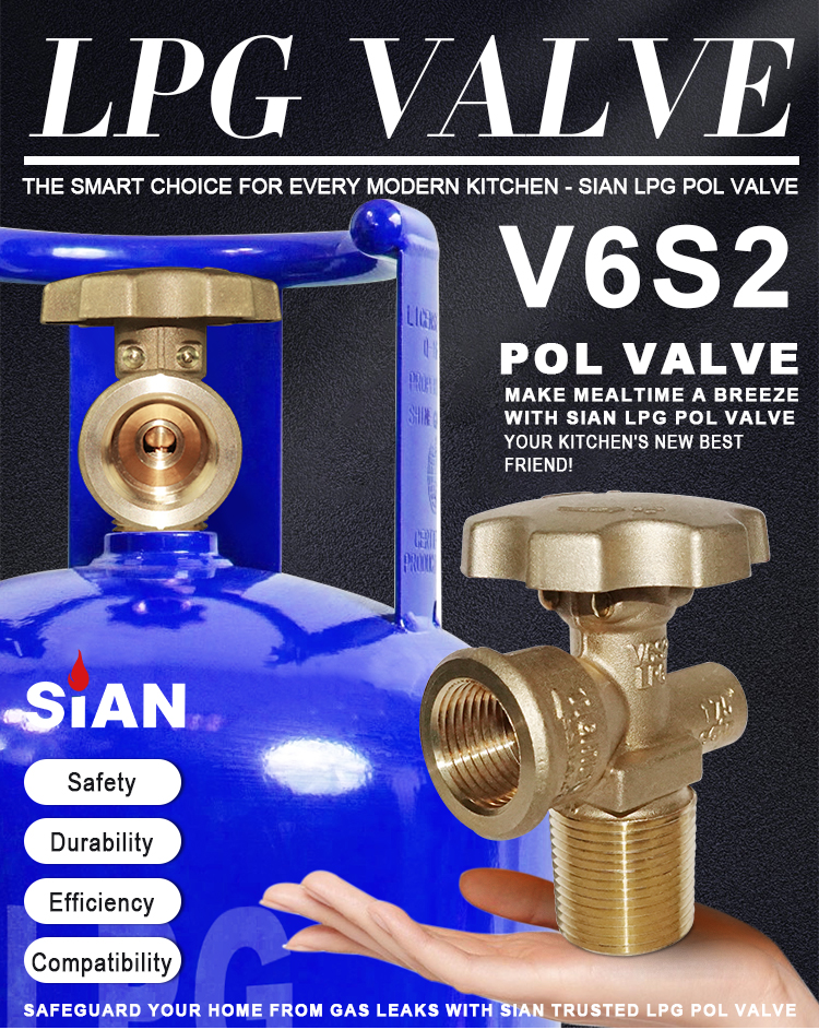 Sian V6 LPG Polventil f&uuml;r Philliphines (1)