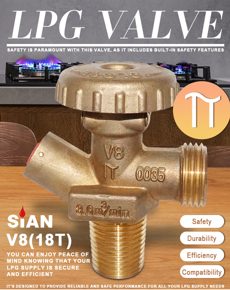 Sian V8 LPG Zylinderventil (1)