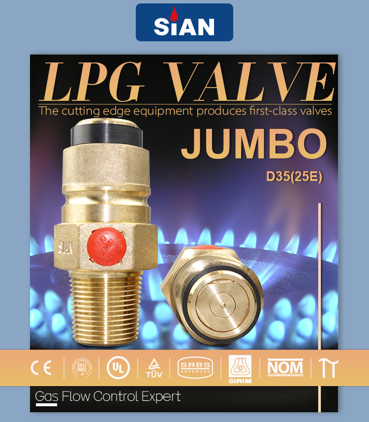 D35 LPG Zylinder Jumbo Ventil 25e (7)