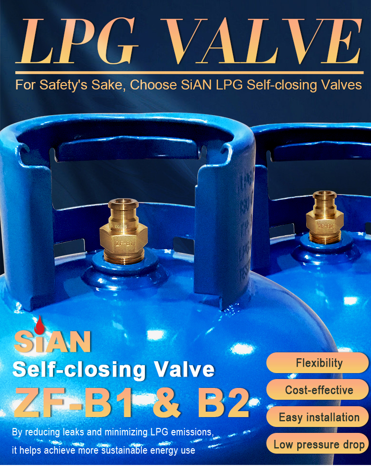 LPG -Selbstschlie&szlig;ventil (6)