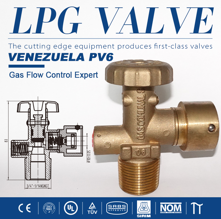 LPG Venezuela Standard Inflable Head Ventil Pv6 (6)